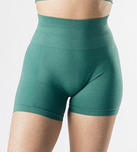 High Waist Sport Shorts